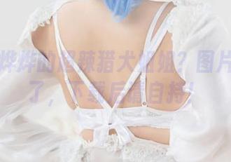 这是你烨烨的超辣猎犬姐姐？图片太火辣了，下载后请自持！